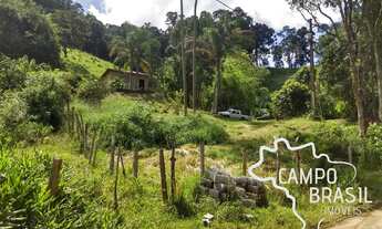 Imagem 2: Sítio bem localizado! Escriturado e com nascente!