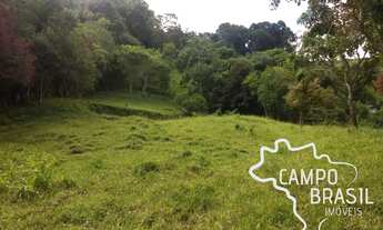 Imagem 4: Sítio bem localizado! Escriturado e com nascente!