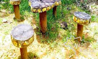 Imagem 4: Ótima Chácara de 1.000MT na Zona Norte!