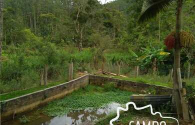 Imagem 5: ÓTIMA CHÁCARA 3.150M² EM MONTEIRO LOBATO!