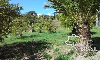 Imagem 6: LINDA CHÁCARA PLANA 20.000MTS EM JACAREÍ 12 KM DO CENTRO!