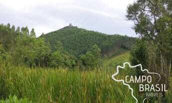 Imagem 3: FAZENDA 32 ALQUEIRES COM PLANTAÇÃO DE EUCALIPTO EM PARAIBUNA!