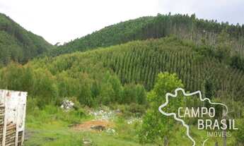 Imagem: FAZENDA 32 ALQUEIRES COM PLANTAÇÃO DE