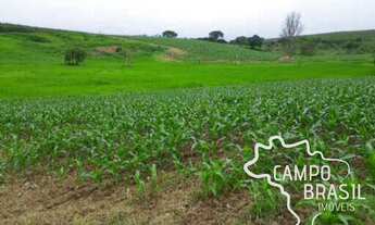 Imagem 5: FAZENDA 86 ALQUEIRES COM ÓTIMA TOPOGRAFIA EM PINDAMONHANGABA!