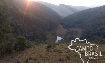 Imagem 6: Linda fazenda de 86 alqueires em produção! Com 40 aq de Eucalipto!