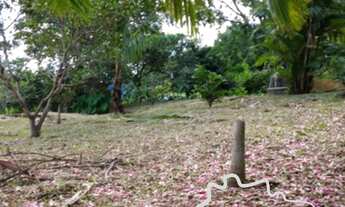 Imagem 6: ÓTIMA CHÁCARA 3.050M² EM PARAIBUNA!