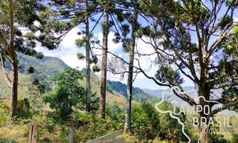Imagem 7: OPORTUNIDADE ÚNICA! ÁREA RURAL 23 HECTARES ABAIXO DA DIVISA DA PEDRA DO BAÚ!