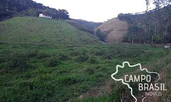 Imagem 6: ÓTIMO SÍTIO 6 ALQUEIRES EM SÃO FRANCISCO XAVIER COM MUITA ÁGUA!