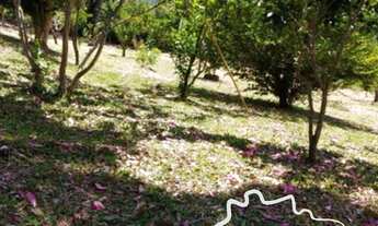 Imagem 7: ÓTIMA CHÁCARA 3.050M² EM PARAIBUNA!