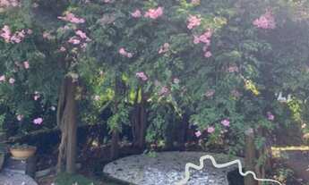 Imagem 4: LINDA CHÁCARA 7.000M² EM GONÇALVES ESCRITURADA!