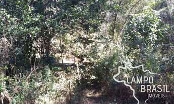 Imagem 2: ÓTIMO SÍTIO 43 HECTARES EM SÃO FRANCISCO XAVIER!