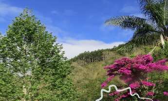 Imagem 3: LINDO SÍTIO 24,5 ALQUEIRES EM NATIVIDADE DA SERRA!