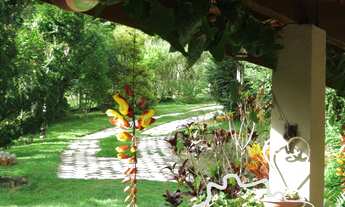 Imagem 7: LINDO SÍTIO 24,5 ALQUEIRES EM NATIVIDADE DA SERRA!