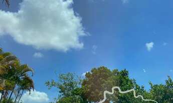 Imagem 5: ÓTIMA CHÁCARA COM 3.233 M², PLANA, ESCRITURADA EM CAÇAPAVA!