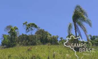 Imagem 4: ÓTIMA ÁREA 2.240M² EM PARAIBUNA COM 2 PLATORES!