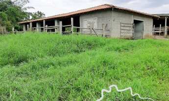 Imagem: SÍTIO EM CAÇAPAVA 5 ALQUEIRES COM ÓTIMA