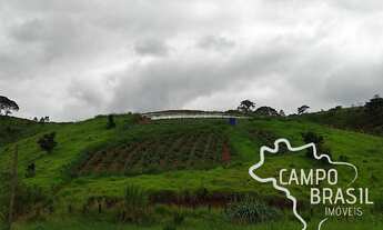 Imagem 3: OPORTUNIDADE!! SÍTIO PARA PRODUÇÃO DE HORTALIÇAS E LEGUMES COM ALTA RENDA MENSAL!