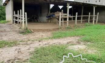 Imagem 2: SÍTIO EM CAÇAPAVA 5 ALQUEIRES COM ÓTIMA TOPOGRAFIA!