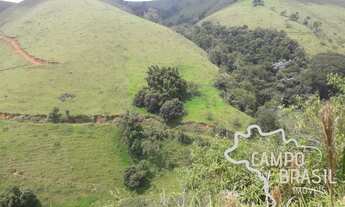 Imagem 5: ÁREA RURAL 6 ALQUEIRES EM MONTEIRO LOBATO!