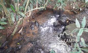 Imagem 7: ÁREA RURAL 6 ALQUEIRES EM MONTEIRO LOBATO!