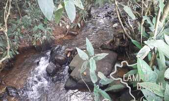 Imagem 6: ÁREA RURAL 6 ALQUEIRES EM MONTEIRO LOBATO!