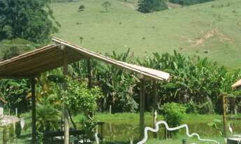 Imagem 6: ÓTIMA CHÁCARA 5.000M² COM 3 CASAS EM NATIVIDADE DA SERRA!