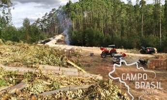 Imagem 5: FAZENDA 165 HECTARES EM CARVALHOS COM POTENCIAL TURÍSTICO E CARVOEIRO!