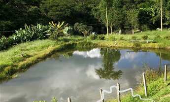 Imagem 4: FAZENDA 190 HECTARES FIM DE LINHA TRAQUILA E SEGURA APTDÃO PARA PECUARIA !