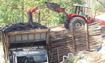 Imagem 7: FAZENDA 165 HECTARES EM CARVALHOS COM POTENCIAL TURÍSTICO E CARVOEIRO!