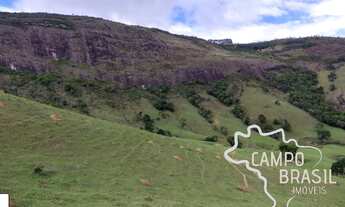 Imagem 3: FAZENDA 165 HECTARES EM CARVALHOS COM POTENCIAL TURÍSTICO E CARVOEIRO!