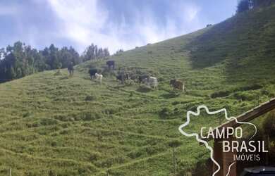 Imagem 5: LINDO SITIO 41.000 M² EM JOANÓPOLIS!