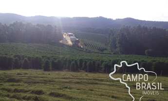 Imagem 5: FAZENDA 290 ALQUEIRES NO SUL DE MINAS COM ESTRUTURA COMPLETA!