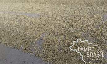 Imagem 7: FAZENDA 290 ALQUEIRES NO SUL DE MINAS COM ESTRUTURA COMPLETA!