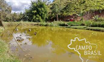 Imagem 3: CHÁCARA 5.000M² EM JAMBEIRO !