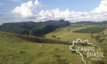 Imagem 6: FAZENDA 290 ALQUEIRES NO SUL DE MINAS COM ESTRUTURA COMPLETA!