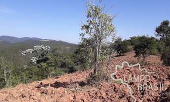 Imagem 5: ÁREA RURAL 5 ALQUEIRES EM JAMBEIRO!