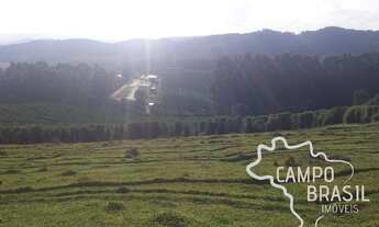 Imagem 2: FAZENDA 290 ALQUEIRES NO SUL DE MINAS COM ESTRUTURA COMPLETA!