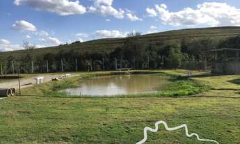 Imagem 4: CHÁCARA 5.000M² EM CAÇAPAVA !