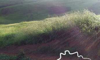 Imagem 6: SÍTIO 6,5 ALQUEIRES EM JAMBEIRO !