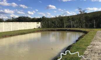 Imagem 5: CHÁCARA 5.000M² EM CAÇAPAVA !