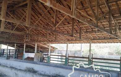 Imagem 4: FAZENDA 57 ALQUEIRES EM SANTA RITA DO SAPUCAÍ !