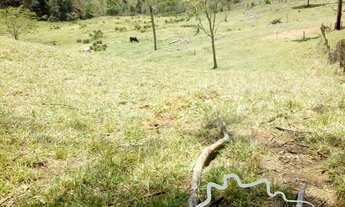 Imagem 4: SÍTIO 1 ALQUEIRE EM GONÇALVES !