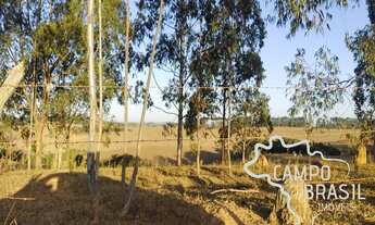 Imagem 6: FAZENDA 26 ALQUEIRES EM CRUZÍLIA !