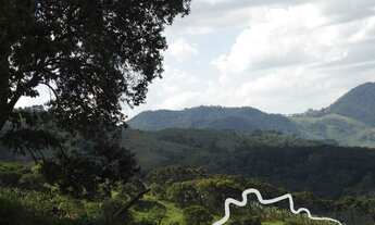 Imagem 7: SÍTIO 1 ALQUEIRE EM GONÇALVES !