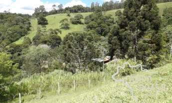 Imagem 7: SÍTIO 12,65 EM REDENÇÃO DA SERRA !