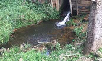 Imagem 5: Oportunidade rural! Fazenda para pecuária e agricultura!