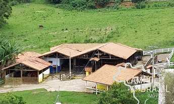 Imagem: SÍTIO 12,5 ALQUEIRES EM CUNHA- SP !