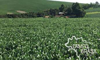 Imagem 3: FAZENDA 1.238 HECTARES EM PIMENTA - MG !