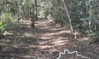 Imagem 3: SÍTIO 2,6 ALQUEIRES EM SÃO FRANCISCO XAVIER !