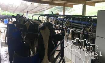 Imagem 3: Oportunidade rural! Fazenda para pecuária e agricultura!